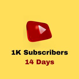 YouTube Momentum Boost 1K Subs ( 14 Days )