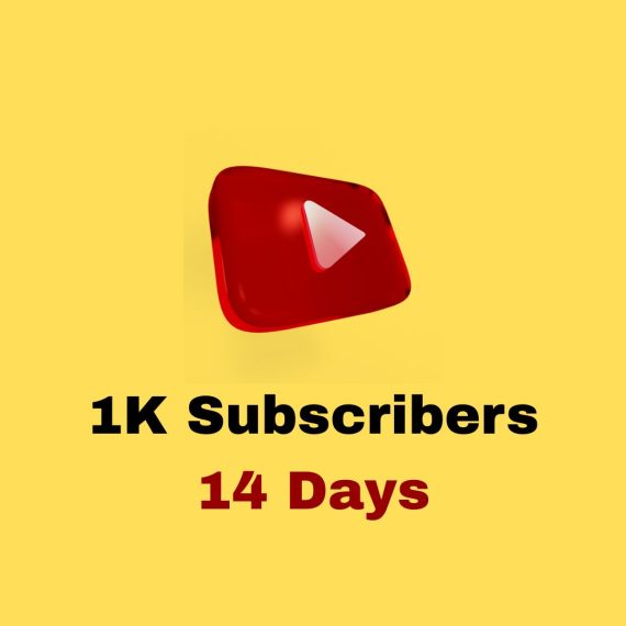 YouTube Momentum Boost 1K Subs ( 14 Days )