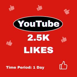 2.5K Likes Only Audience: Global Complete within 1 Day