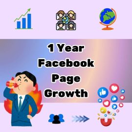 Facebook Page Grow